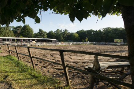 Groepsaccommodatie De Witte Wieven Gelderland VMP106